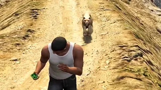 Taking A Picture Of A Cougar - A GTA 5 Challenge