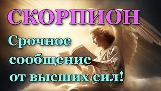 СКОРПИОН💌 СРОЧНОЕ СООБЩЕНИЕ от 🙏ВЫСШИХ СИЛ!💯 УЗНАЙТЕ, ЧТО ГОТОВИТ ВАМ СУДЬБА! ТАРО ПРОГНОЗ ГАДАНИЕ 🍀