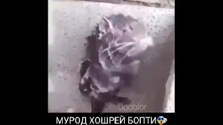 хулигани😆😆😆😆😆