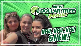 *** NEW Dollar Tree Haul *** Dollar Tree Brooklyn Girl & Everything Mari 5/26/24