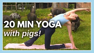 20 min Intermediate Yoga Flow - Yoga with Pigs Fundraiser