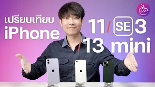 เปรียบเทียบ iPhone 11, iPhone SE 3, iPhone 13 mini จอ กล้อง แบต ราคา และอื่น ๆ | iMoD