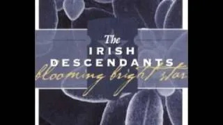 Irish Descendants  - Step it out Mary