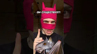 ОН СУЩЕСТВУЕТ 😱⚠️ Самая необычная летучая мышь 🦇