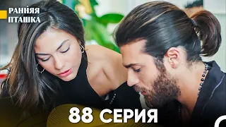 Ранняя Пташка 88 серия (Русский Дубляж)