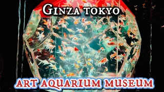 アートアクアリウム美術館GINZA(Art Aquarium Museum)Tokyo Ginza Japan Vlog