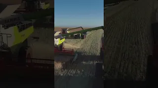 CLAAS LEXION 8700, CLAAS XERION 5000