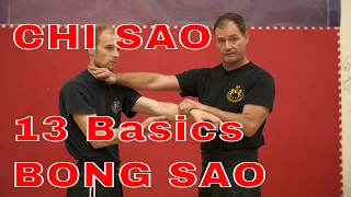 Chi Sao: 13 Basics Pt 1 and 2 w Bong Sao