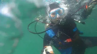 buceo en mar del plata 15/4/2022