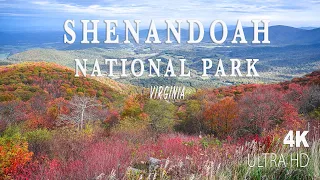 Visit Shenandoah National Park, Virginia | Fall Foliage 2020 in 4K