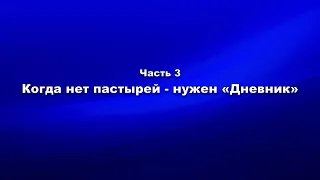 Методика и технология Школы покаяния. Ответ А.А Горбачёву Часть 3 Когда нет пастырей - нужен Дневник