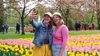 Keukenhof 2023 in full bloom and the lisianthus en gerbera show