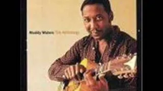 Muddy Waters - Walkin' Blues