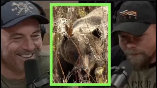 Aron Snyder Faced Down a Grizzly Bear | Joe Rogan