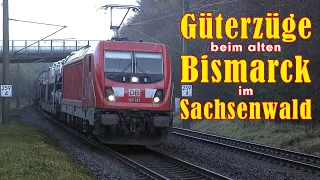 Güterzüge im Sachsenwald. Herbst 2020. German and foreign freight trains in Bismarck's forest.