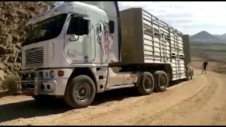 Toyota Landcruiser Pulls Double Trailer Truck loaded with 200 head of cattle in Namibia Africa
