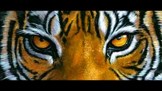 SURVIVOR - Eye of the tiger (Metal version by Jonathan Young)