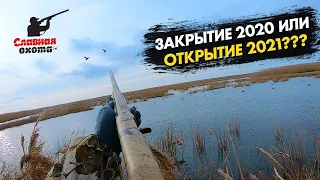 Закрытие сезона охоты 2020 / Охота на утку