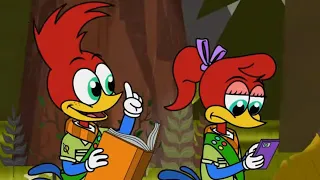 Woody's Survival Guide | Woody Woodpecker | Cartoons for Kids | WildBrain Bananas