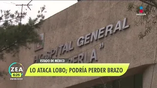 Lobo ataca a niño en el zoológico del Parque del Pueblo, en Neza | Noticias con Francisco Zea