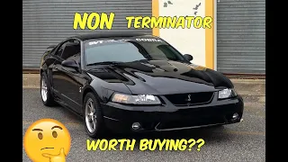 Is The 1999-2002 NON Terminator Mustang Cobra Really WORTH Buying??