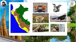 ANIMALES DE LAS TRES REGIONES DEL PERÚ