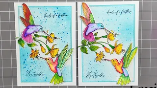 GINA K STUNNING HUMMINGBIRDS