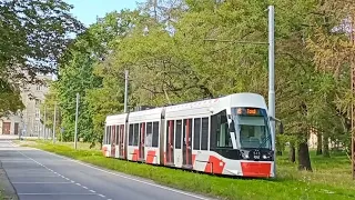 Trams in Tallinn August 2023