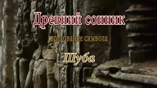 К чему снится Шуба сонник, толкование сна