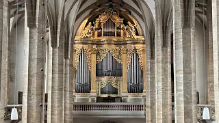 The Great 1714 Gottfried Silbermann Organ at Freiberg Cathedral, Germany | Demonstration of Stops