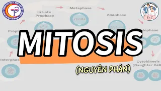 Mitosis ( Nguyên Phân ) - Vietsub video by S.o.C