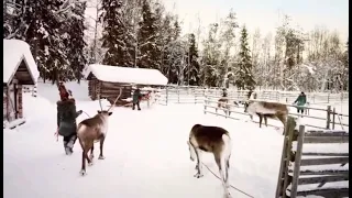 🤍Santa Claus 🎅 Papa Noel🎅Le Manda Un Saludo a Alicia🤍Santa Claus sends a message to Alice🤍