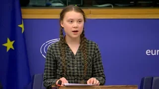 Greta Thunberg urges MEPs to ‘panic like the house is on fire’