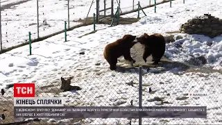 Новости Украины: во львовском медвежьем приюте "Домажир" проснулись косолапые