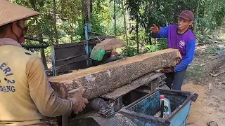 tebang kayu mahoni & jati !! langsung dirajang gergaji srekel rakitan