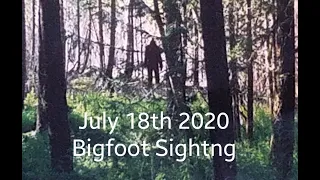 Bigfoot Sighting Oregon July 18th 2020 Mt Hood, Rocks Thrown & Tracks found!  42min Horse Trail ride