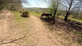 Quantock Hills MTB April '24