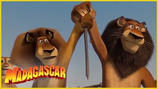 DreamWorks Madagascar | Alex salva el día | Madagascar: Escape 2 África