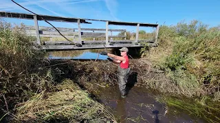 Early Fall Beaver Dam Removal 2 of 4      Musky Bay