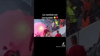 Nice-Cologne : sa a dégénéré en tribune 😭😨💔