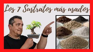 BONSAI 7 SUBSTRATES FOR BEGINNERS AND SUMMER TRICK / INTRODUCTION COURSE TO BONSAI 🌳🌱🌲🌿🌳🍁