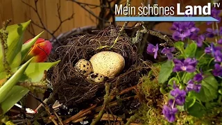 Ostern in Ostfriesland - die schönsten Höfe Norddeutschlands (NDR)