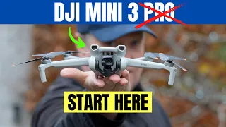 DJI Mini 3 Review 2023 - Is this the best drone for beginners?