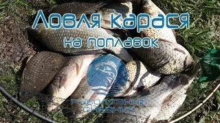 Видео ловля карася на поплавочную удочку - секреты : Рыболовный дневник