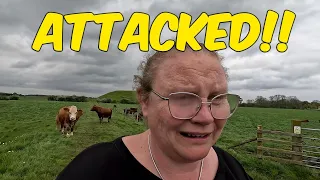 Attacked by Cows! | Skipsea Castle