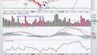 Stock Alert Video 02-29-2012