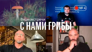 С нами грибы. Грибы и психические расстройства. Вишневский, Бекетов, Епифанцев