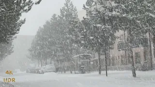 Winterwonderland: Extreme Winter SNOWSTORM | Sweden, Stockholm | 4K