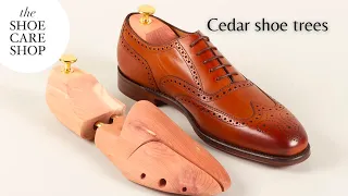 Cedar shoe trees | Sizing and how to use guide