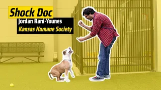 Shock Doc: Jordan Bani-Younes, Kansas Humane Society